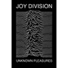 Poster Joy Division - Unknown Pleasures, 24in x 36in, Office