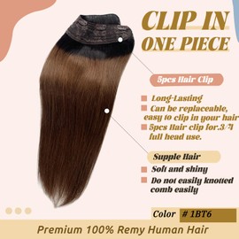 Clip in Hair Extensions Real Human Hair,Ombre Natural Black Black Highlighted Chestnut Blonde Clip on Remy Hair Extension 5 Clips 3/4 Full Head for Women Double Weft Clip in 80g Hair Extensions