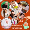 G4GADGET 1 PCS Makeup Sponge with Cactus Storage Box, Compact