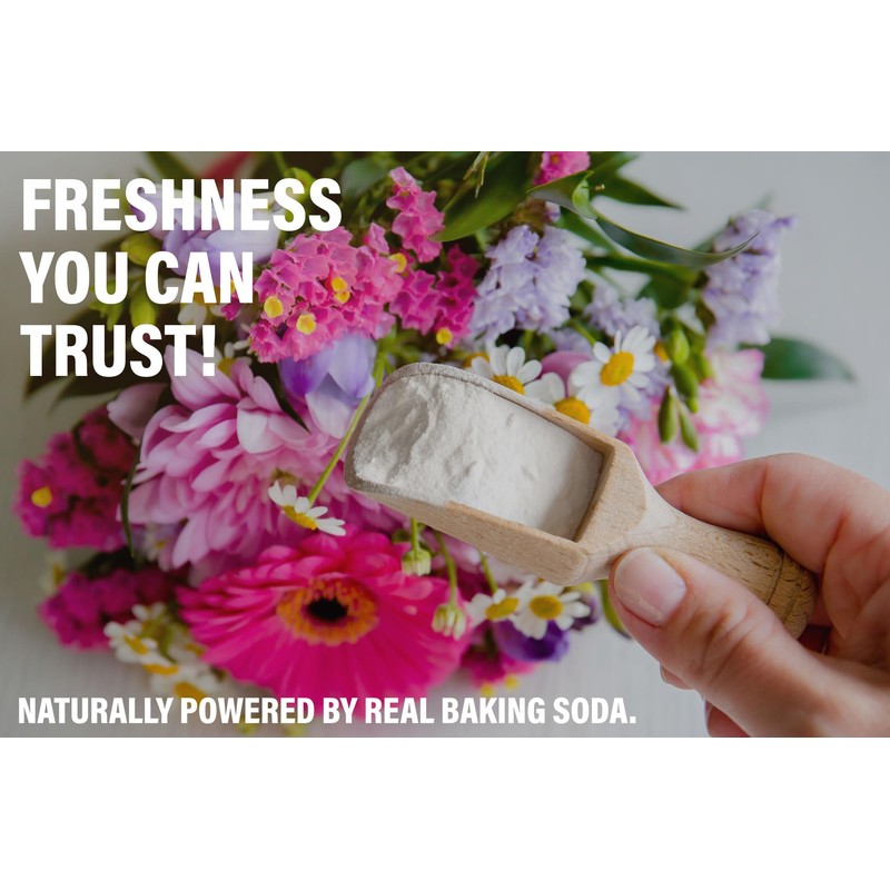 ARM & HAMMER 3 Pack Scented Sachets for Drawers &