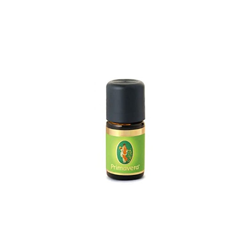 Primavera Life Rosemary Camphor Organic (1 x 5 ml)