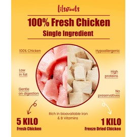 LILSNOOTS Freeze Dried Chicken Dog Treats Cat Treats, Single Ingredient Raw Chicken Pet Treats, Food Topper, Training Treats, Rawhide Free Freeze Dried Chicken High Protein, 4.6oz