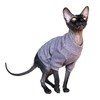 Kotomoda Cat Clothing Jumper Sparkling Mauve for Sphynx Cats (L)