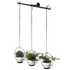Gardenised Decorative Metal Hanging Planter with Tree Pots for Flowers,