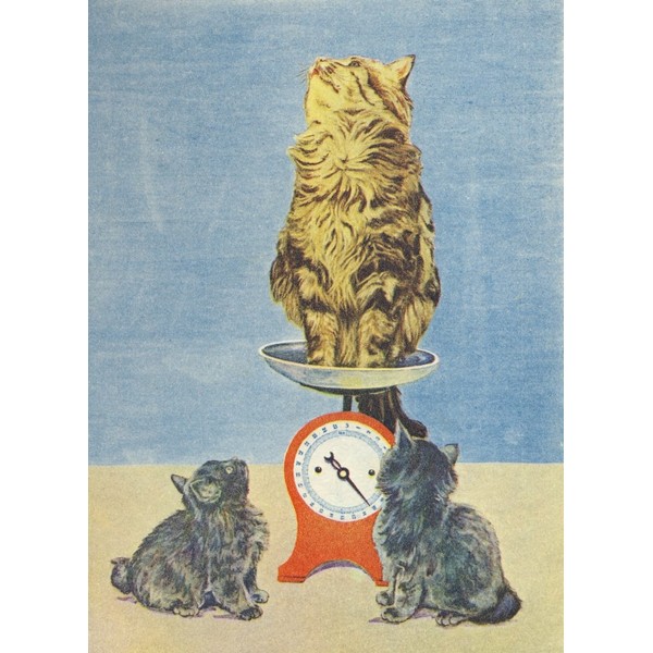 The Picture Book of Kittens 1920s Cat scales Poster Print