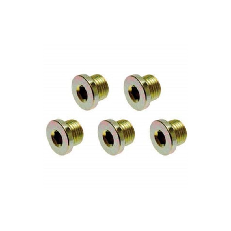 BGS 126-SM20 | Oil Drain Plug | for BGS 126