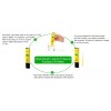 THZY PH Tester pocket-sized pH meter