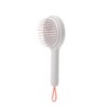 Self-Care Scalp Massaging Hairbrush Round Air Cushion Brush