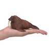 MOJO Walrus Realistic International Wildlife Hand Painted Toy Figurine (387209)