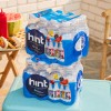 Hint Fruit-Infused Bottled Water Sugar-Free Pack of 12