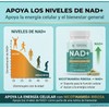 NAD+ Resveratrol Nicotinamida Ribosa 300mg Kit 2 Frascos