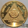 24 Hours AA Medallion 24k Gold Plated Alcoholics Anonymous Sobriety