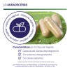 Prebiticos Blend Megabiotic 120 Cpsulas 1130mg Por Porcin Sin Sabor