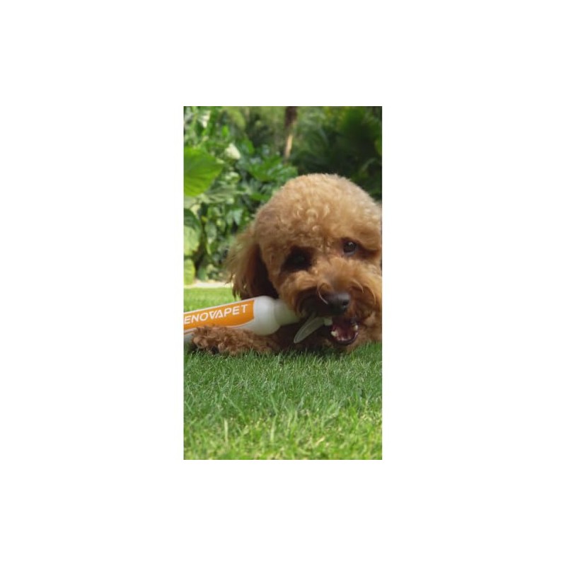 Renovapet Solución para el Cuidado Oral Orgánica (Estilo 12)
