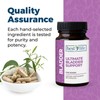 Best Life Herbals Women's Ultimate Bladder Support and Control Supplement