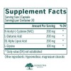 Glutathione Precursors 30 Count by Pharmax