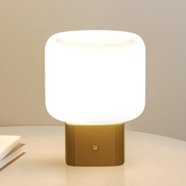 KNYELYNS Mushroom Lamp, Cordless Rechargeable Table Lamp with Glass Shade, Aesthetic Room Decor and Gifts for Nightstands, Bookshelf, Kitchen