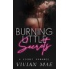Burning Little Secrets: A Secret Romance