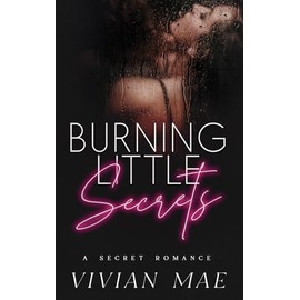 Burning Little Secrets: A Secret Romance