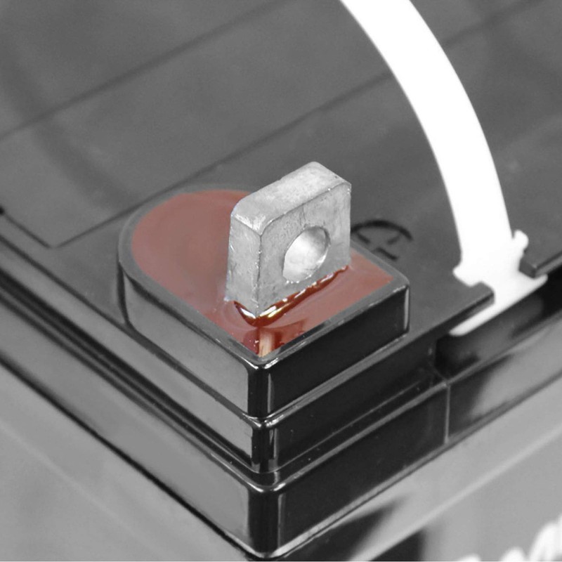 Mighty Max Battery 12V 35AH SLA Battery for NPower Flex