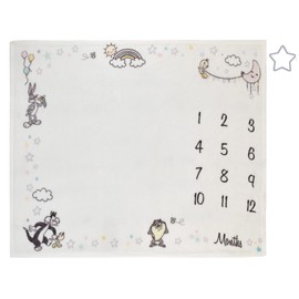 Warner Brothers Looney Tunes Best Buds White with Pastel Blue, Pink, and Yellow Bugs Bunny, Tweety, Tasmanian Devil, and Sylvester The Cat Milestone Blanket