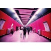 Lomography Lomochrome Purple 35mm ISO 100 Color Shifting Film for