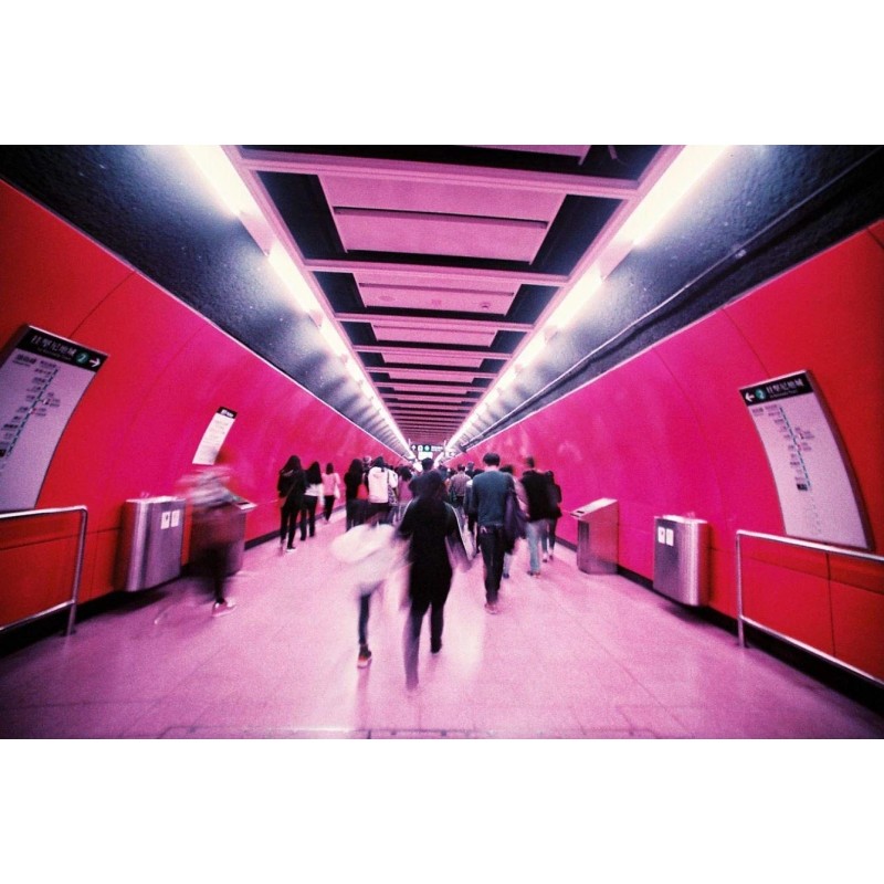 Lomography Lomochrome Purple 35mm ISO 100 Color Shifting Film for
