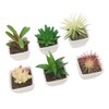 6PCS Potted Artificial Succulents Artificial Plants in Pots Plastic Fake