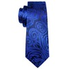 Barry.Wang Men Ties Paisley Woven Silk Necktie Set with Pocket