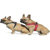 Tre Ponti Fibbia Small Dog Harness, 2 cm, Red
