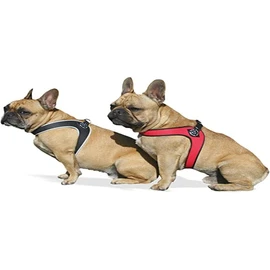Tre Ponti Fibbia Small Dog Harness, 2 cm, Red