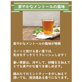 Mint Tea 1.1 oz (30 g) Herbal Tea ● Tea Specialty Store Kyoto Select Shop ● Tea Leaf Tea 1.1 oz (30 g)