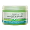 Redugel Intensivo Quema Grasa Florigan 350grs, verde