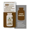 Hongo Melena De León 60 Cápsulas Lions Mane Mushroom Supplement,