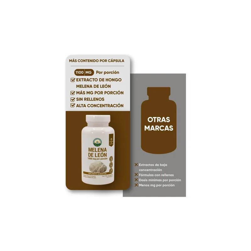 Hongo Melena De León 60 Cápsulas Lions Mane Mushroom Supplement,