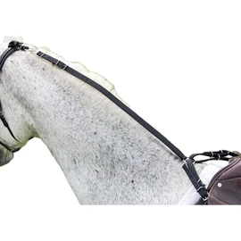 Shires Daisy Rein-Black One Size