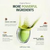 Matcha Fuel SuperLatte - Adaptogenic Matcha Latte Powder