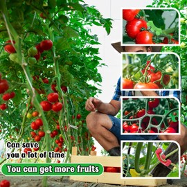 Tyqour 40Pcs Plant Clips for Climbing Plants, Adjustable Lst Clips for Low Plants Bending Clips, Plastic 90 Degrees Plant Training Clips, Plant Stem Bender for Plant Gardening Trellis Growth Kits