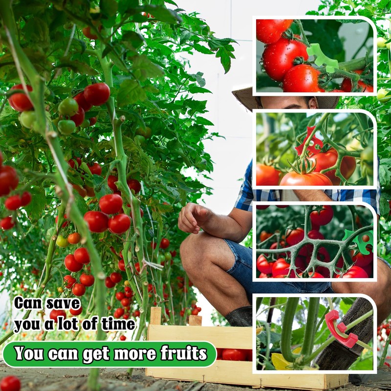 Tyqour 40Pcs Plant Clips for Climbing Plants, Adjustable Lst Clips