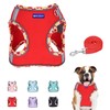 BTDCFY Step in Mesh Dog Harness and Leash Set Breathable