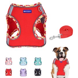 BTDCFY Step in Mesh Dog Harness and Leash Set Breathable Air Mesh Reflective Escape Proof Dog Harness Vest No Choke Lightweight Mesh Dog Harness