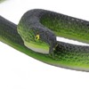 2 Set Snake Prank with String Clip Lifelike Adult Clip