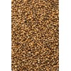 McCormick Gourmet Organic Coriander Seed, 0.87 Oz
