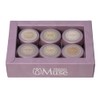 PREGEL Muse Bear Sheer Skin Series 6 Color Set