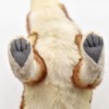BH5207 HANSA Hansa Coyote 35 Real Animal Plush