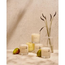 Maison Louis Marie - Antidris Lavender Soy Wax Candle | Luxury Fragrance​s​ for a Modern World (8.5 oz | 240 g)