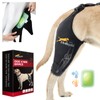 Dollephi Dog Knee Brace for Torn ACL Hind Leg, Hot/Cold