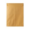 Hilroy 76144 Kraft Envelopes, 9x12-Inch, 25-Count