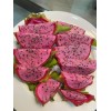 ORGANICO One Vietnamese read DRAGON FRUIT CUTTING 8- 12 Inches