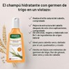 RAUSCH Egg-Oil Nourishing Shampoo 200 ml